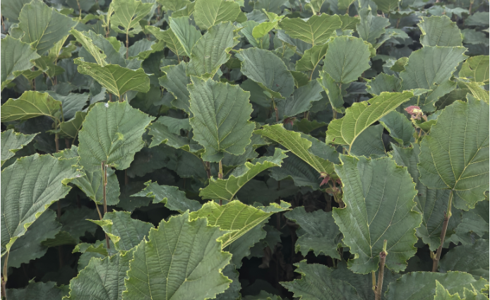 1761120697639227.png image.png